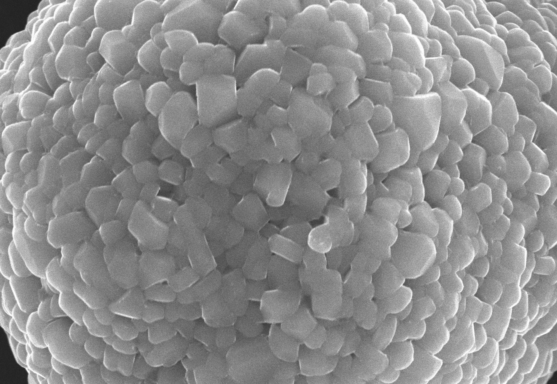 總投資2.12億元 英德擬擴建年產1萬噸鋰電池正極材料 總投資2.12億元 英德擬擴建年產1萬噸鋰電池正極材料