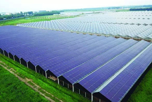 港股光伏板塊中報期 有望獲資金青睞 港股光伏板塊中報期 有望獲資金青睞