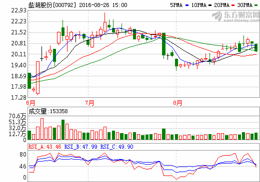 鹽湖股份 鹽湖股份