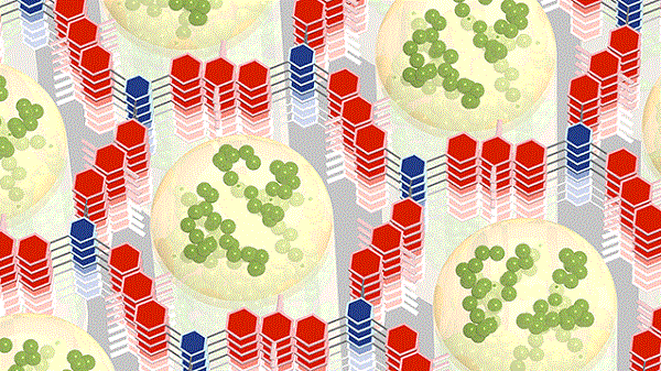 研究人員開發(fā)出儲能10倍 充電速度也超快的新型電池材料 研究人員開發(fā)出儲能10倍 充電速度也超快的新型電池材料