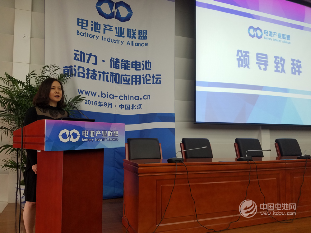 電池產業聯盟理事長余斌 電池產業聯盟理事長余斌