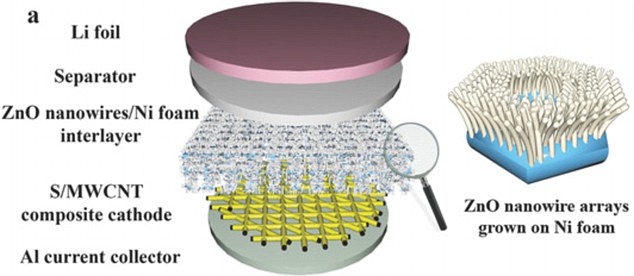 延長使用壽命 人類腸道構造激發新電池解決方案