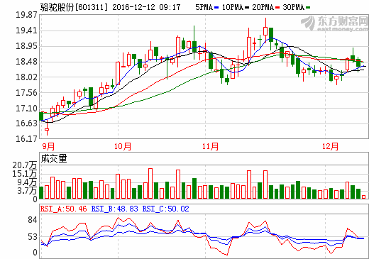 駱駝股份 駱駝股份