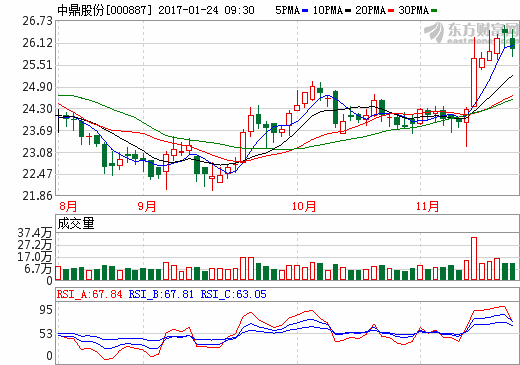 中鼎股份1.85億元再購(gòu)海外新能源汽車資產(chǎn) 加速融入全球市場(chǎng)步伐