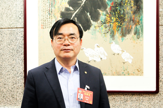 全國政協委員、協鑫（集團）控股有限公司副總裁柳崇禧