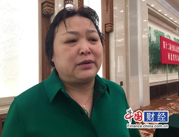 新能源汽車"地方保護"?人大代表：避免地方過度干預