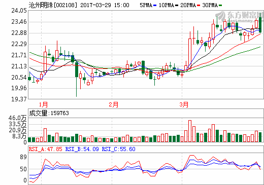 1490782980615085.png 滄州明珠.png