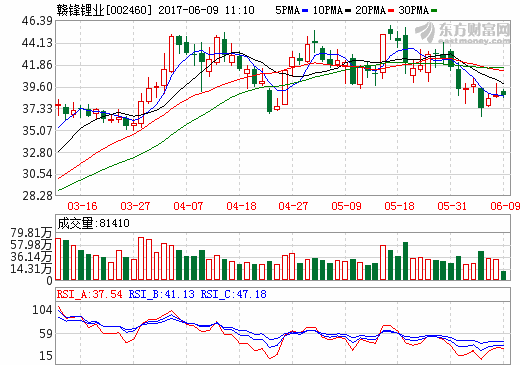 贛鋒鋰業 贛鋒鋰業