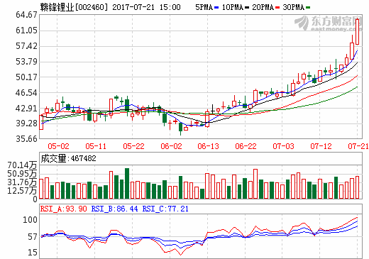 贛鋒鋰業 贛鋒鋰業