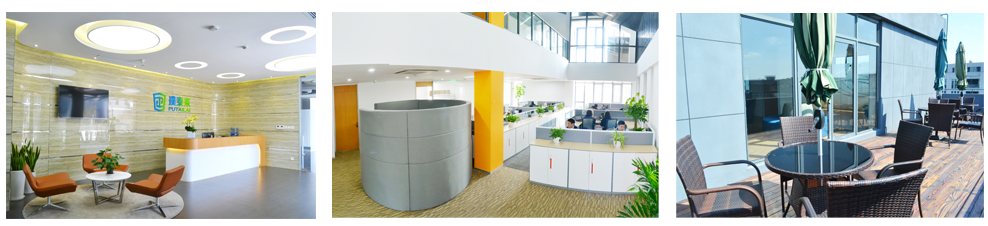 上海璞泰來新能源科技股份有限公司 上海璞泰來新能源科技股份有限公司