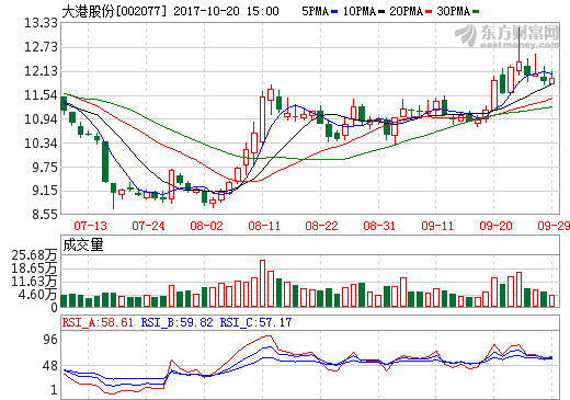 大港股份 大港股份