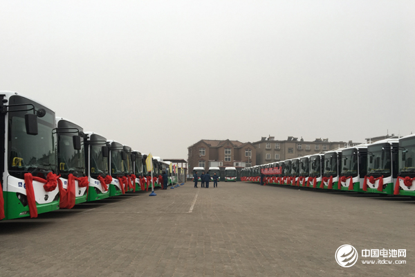 打造“綠色交通”示范樣板 青島投放372輛比亞迪純電動公交車