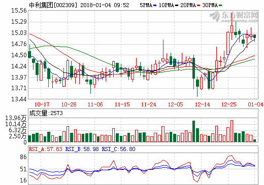 中利集團(tuán)光伏電站累計(jì)達(dá)5GW 聯(lián)合投資三億屋布局戶用市場(chǎng)