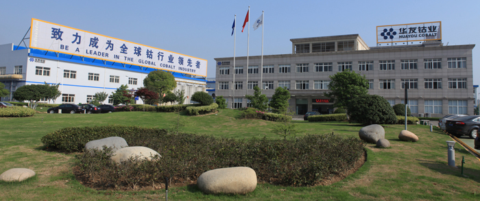 華友鈷業(yè)副總談與韓企60億合資:借此進(jìn)入高端新能源車市場(chǎng) 華友鈷業(yè)副總談與韓企60億合資:借此進(jìn)入高端新能源車市場(chǎng)