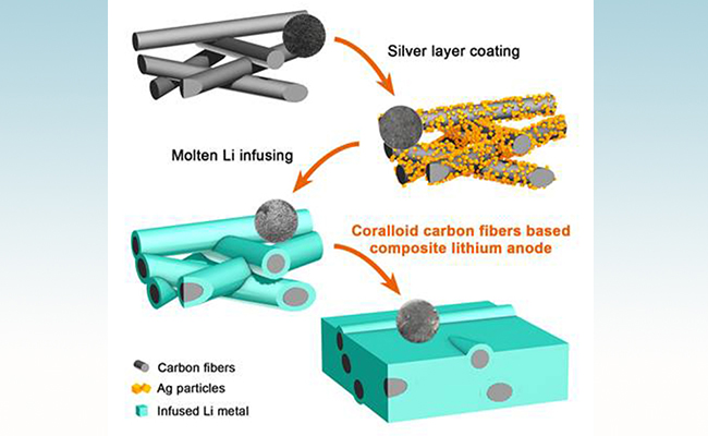 珊瑚狀碳纖維熔融灌鋰的復合鋰金屬負極