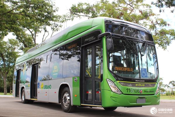 中國“鯰魚”出海記:比亞迪攪動美國新能源公交市場 中國“鯰魚”出海記:比亞迪攪動美國新能源公交市場