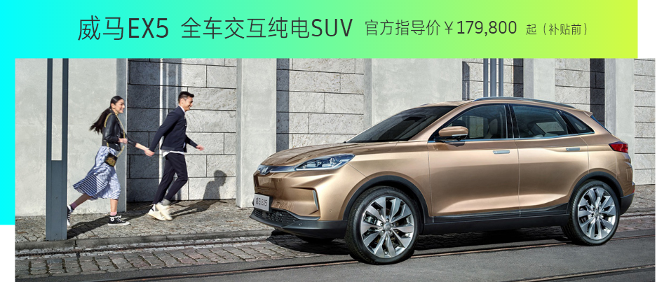 威馬汽車 威馬汽車