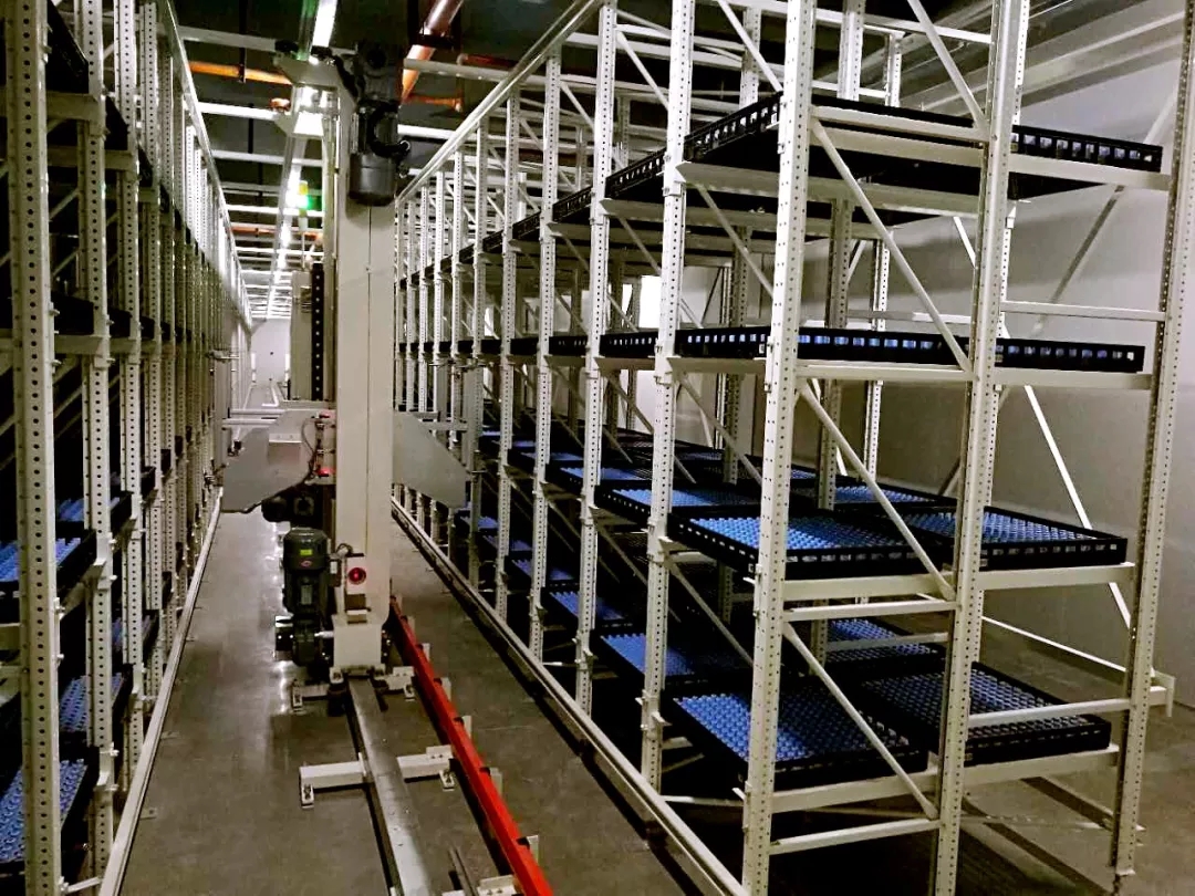 澳洋順昌 澳洋順昌