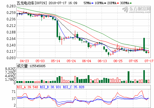 五龍電動車 五龍電動車