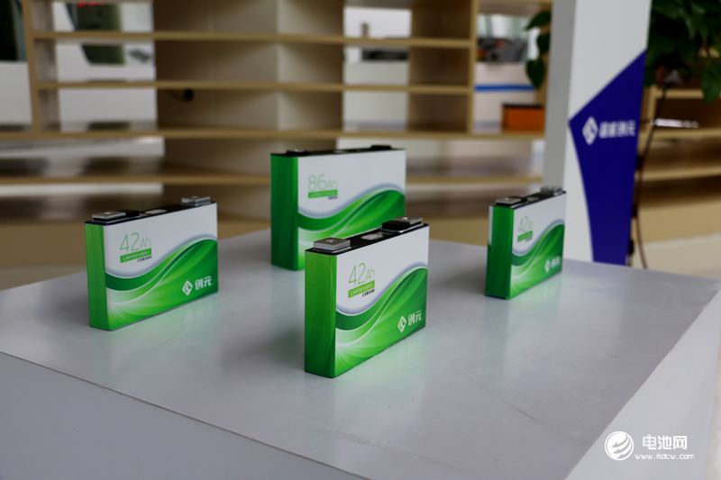 中國鋰電新能源產(chǎn)業(yè)鏈調(diào)研團一行參觀超威集團