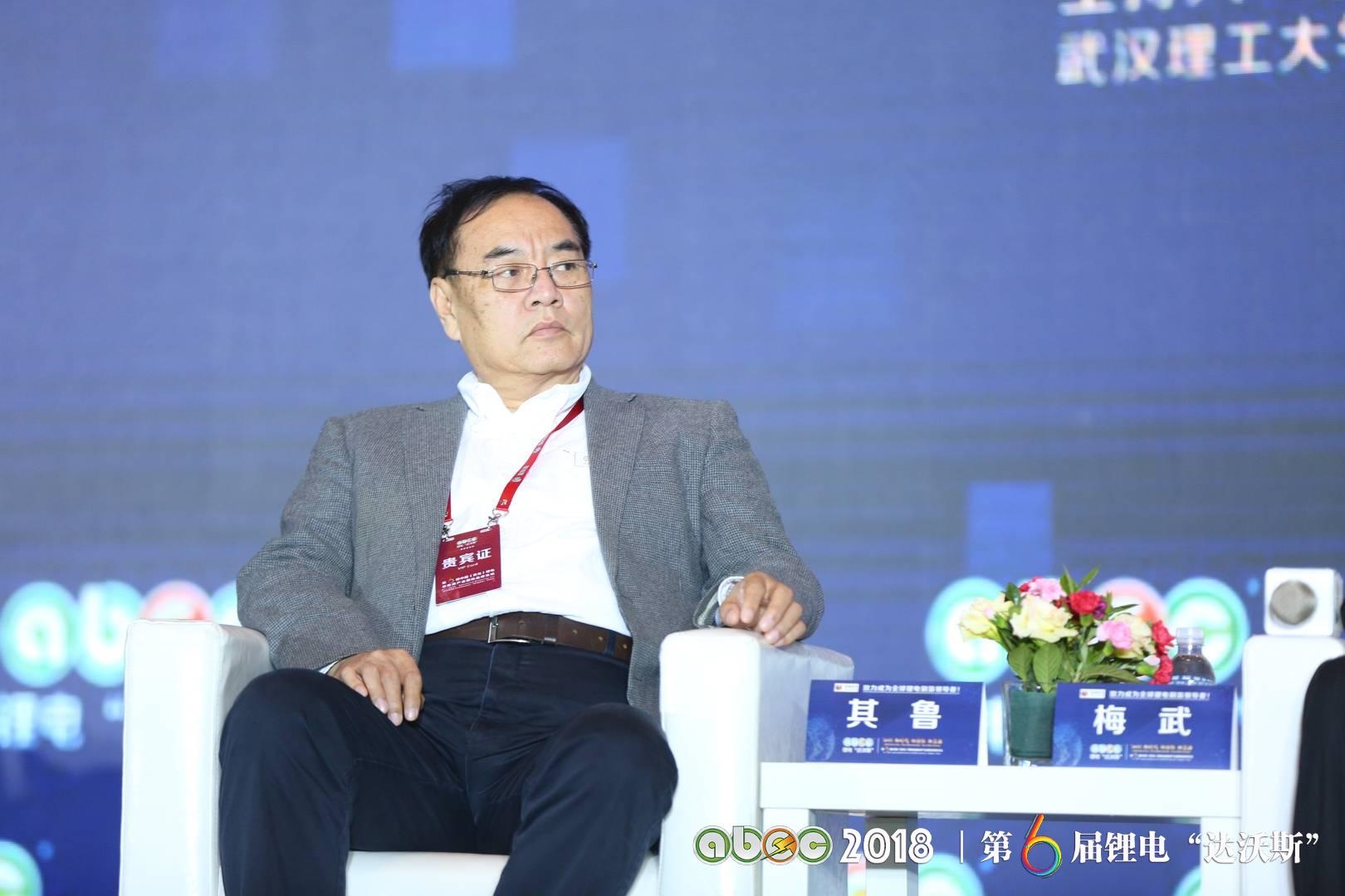 北京大學(xué)教授、鋰電“達(dá)沃斯”學(xué)術(shù)委員會主席其魯教授