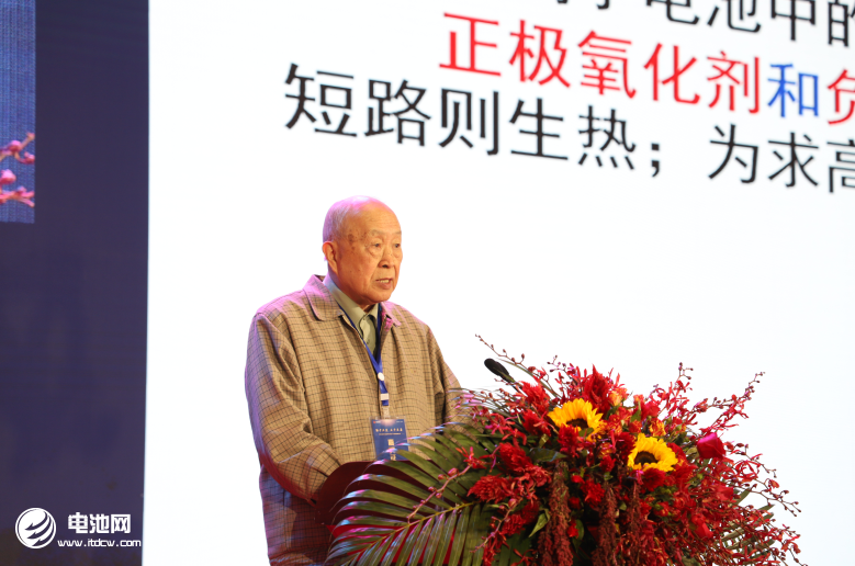 中國工程院院士楊裕生