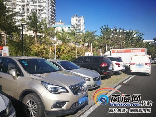 金雞嶺橋頭公園充電樁車位被大量燃油車占用 金雞嶺橋頭公園充電樁車位被大量燃油車占用