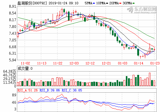 鹽湖股份2018年預虧逾32億 年報后或將“戴帽”