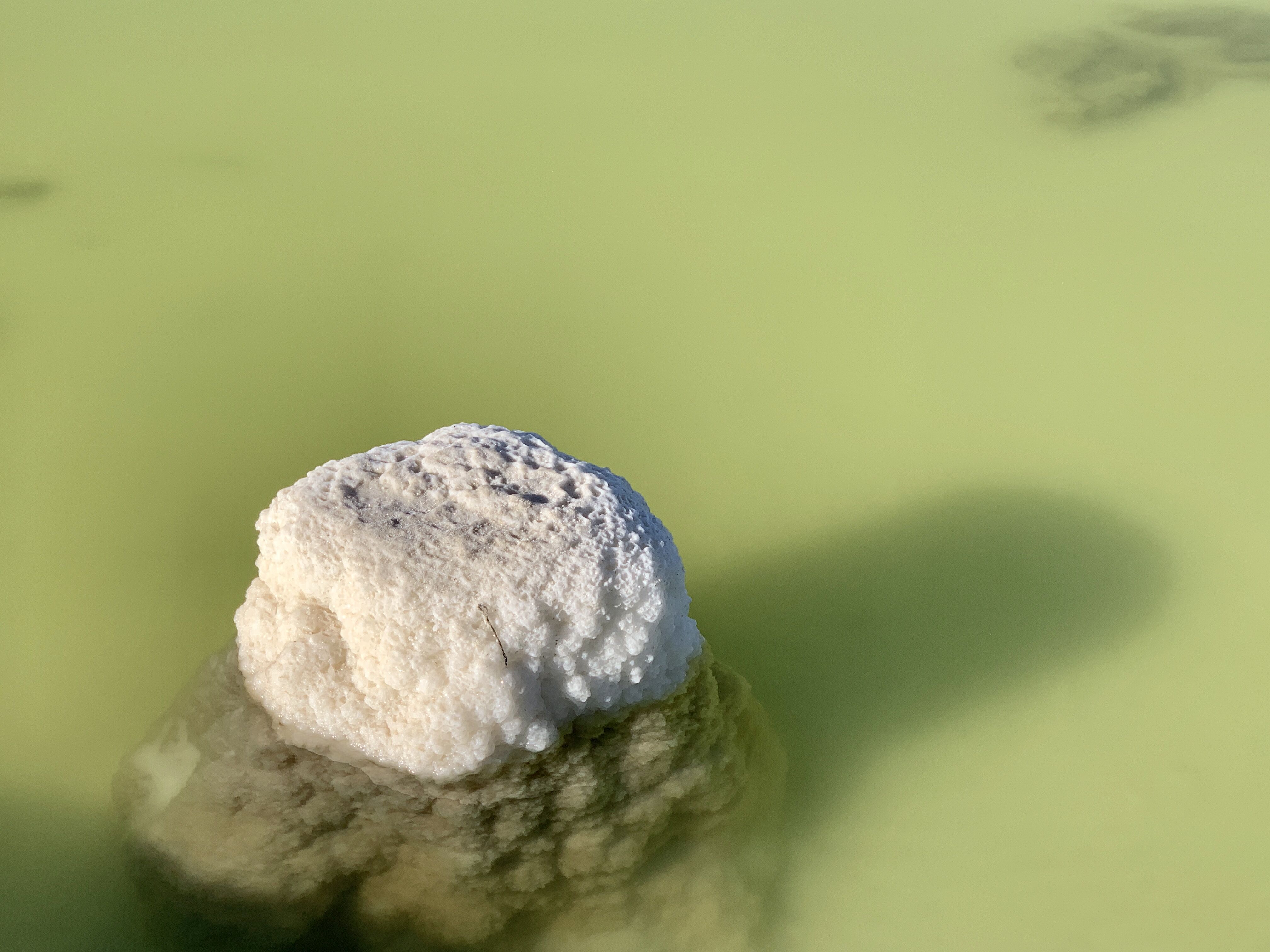 2018年我國鋰產品出口4.23萬噸 氫氧化鋰凈出口量2.6萬噸 2018年我國鋰產品出口4.23萬噸 氫氧化鋰凈出口量2.6萬噸