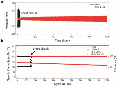 中國科大仿硅藻土多級結構研制高性能固態鋰電池復合負極