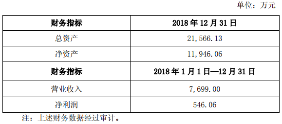新源動力2018年的主要財務數據