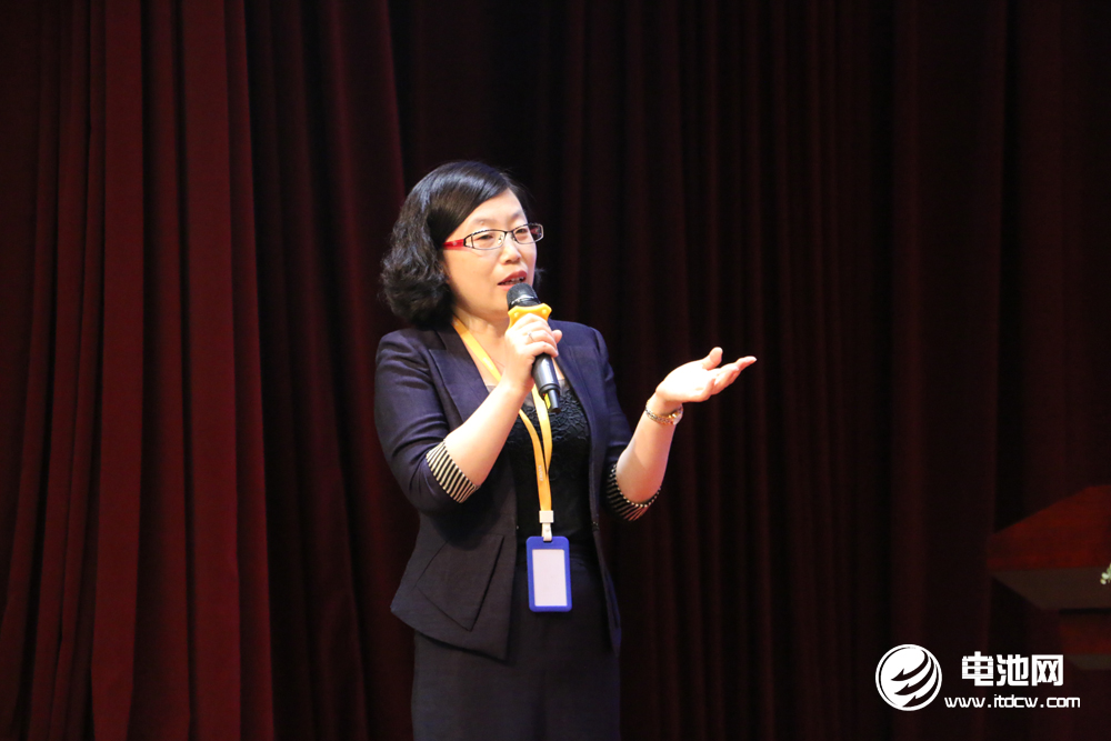 蜂巢能源國內營銷總監郝雷明