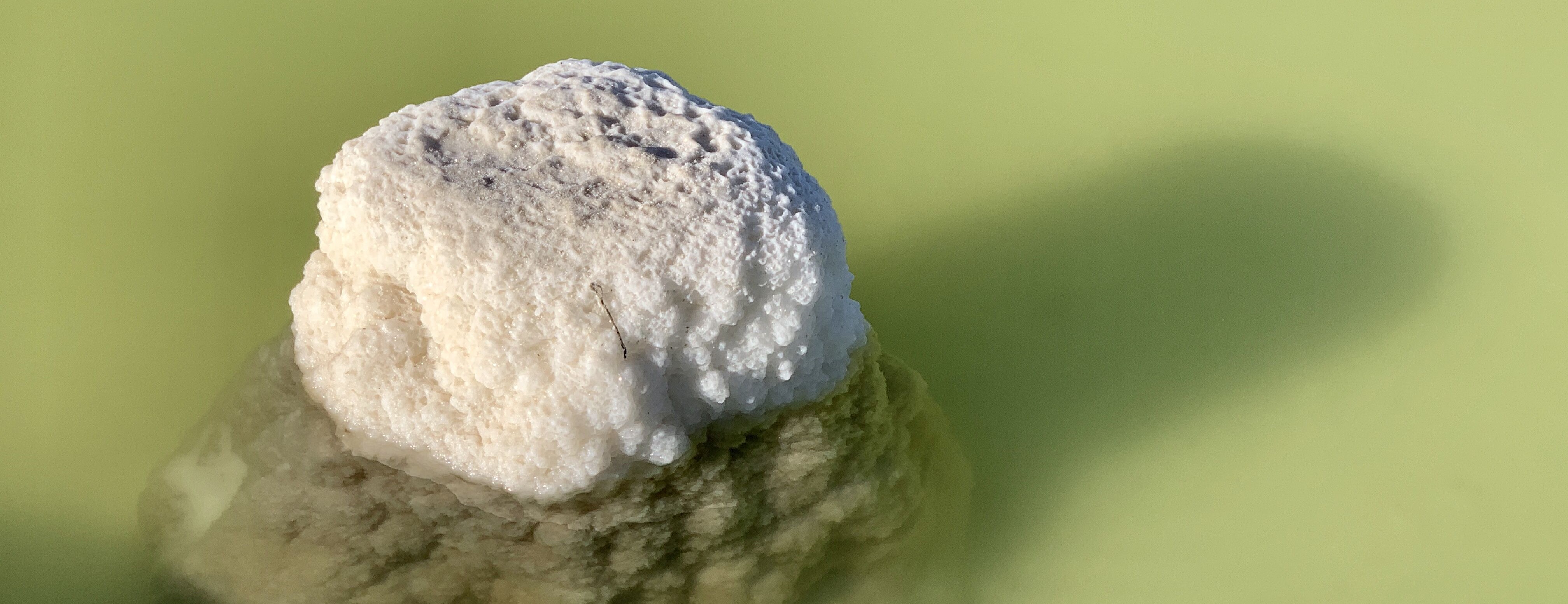 2019下半年化工市場展望 碳酸鋰：成本支撐 走勢平穩