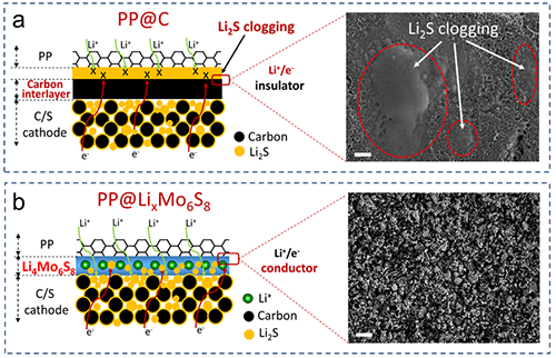 圖4. PP@LixMo6S8功能隔膜與涂覆碳PP@C隔膜對比圖