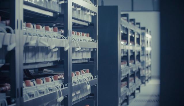 雷諾2025年擬推無鈷固態(tài)電池  能否突破技術(shù)和資源制約？