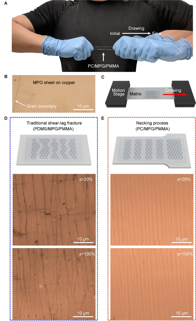 利用局域應變裁剪技術(shù)實現(xiàn)單層多晶石墨烯的可控斷裂