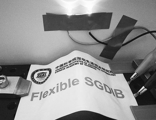 新型硅—石墨雙離子電池