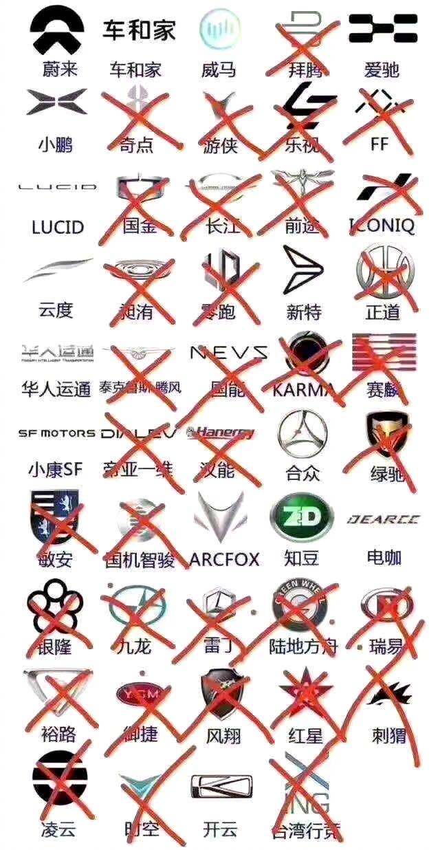 弱者出局強者發力 圍觀上半年的新能源