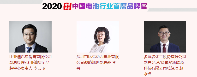 中國電池行業首席品牌官 中國電池行業首席品牌官