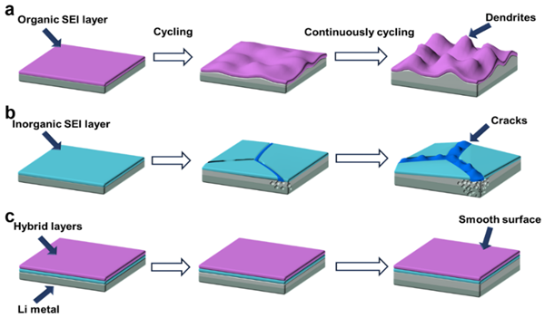 圖1.金屬鋰表面SEI層的結構示意圖