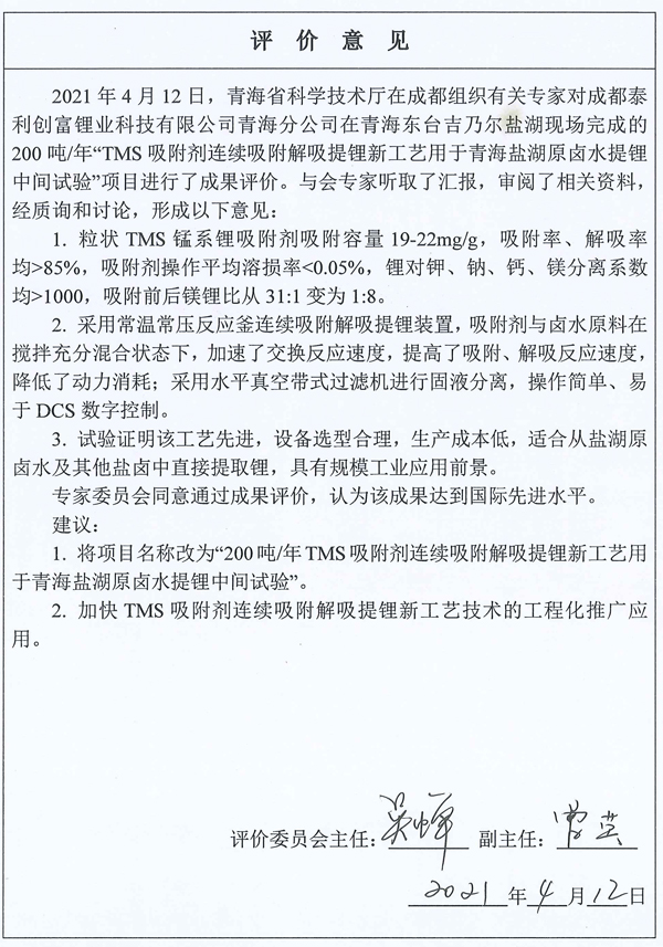 成果評審意見 成果評審意見