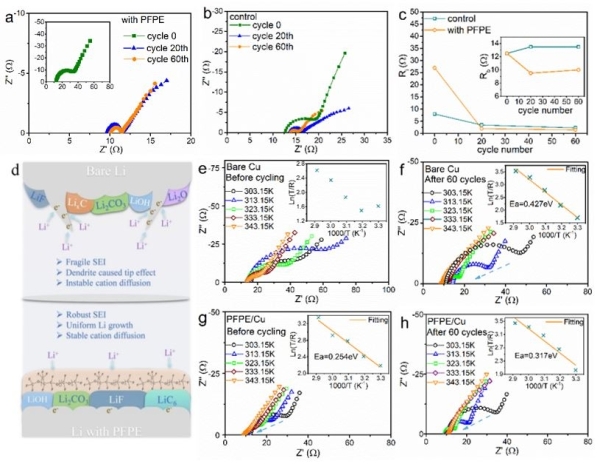 圖3.基于電化學阻抗的界面分析