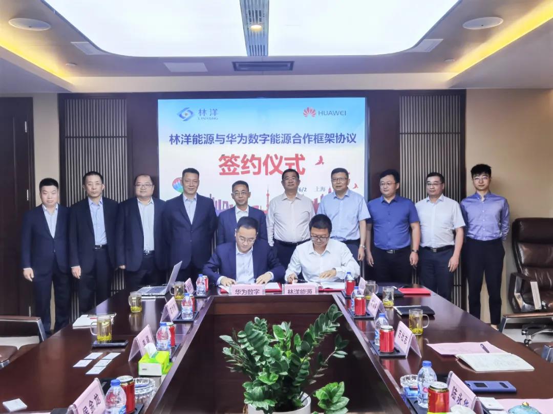 儲(chǔ)能,林洋能源,光伏