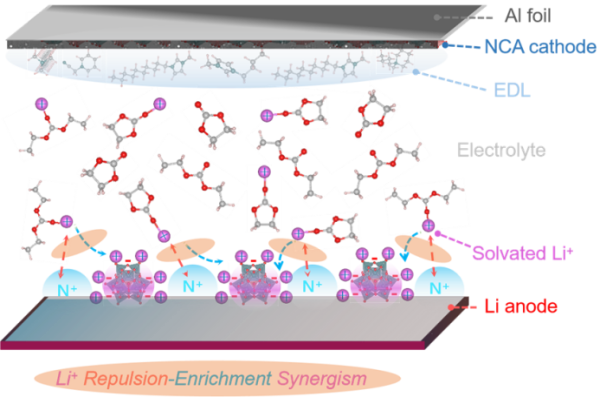 上海硅酸鹽所鋰金屬電池雙功能電解液設(shè)計(jì)研究獲進(jìn)展