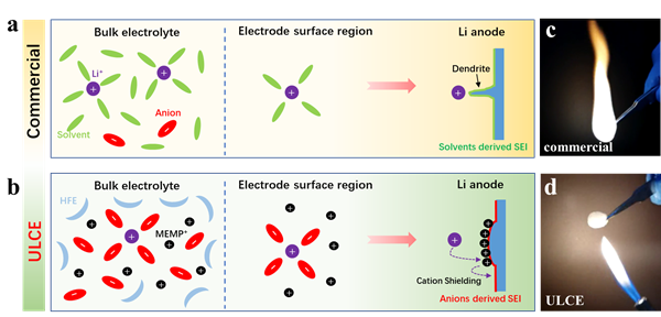  圖1 不同電解液溶劑化結構和鋰金屬界面化學行為流程圖及燃燒性測試