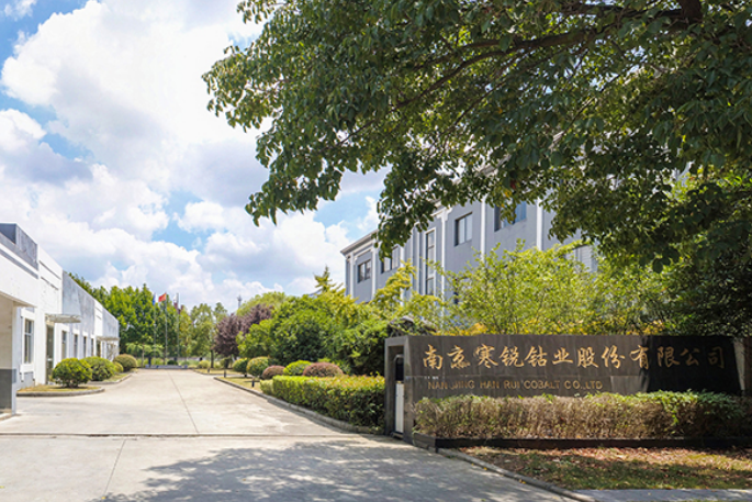 圖片來源：寒銳鈷業