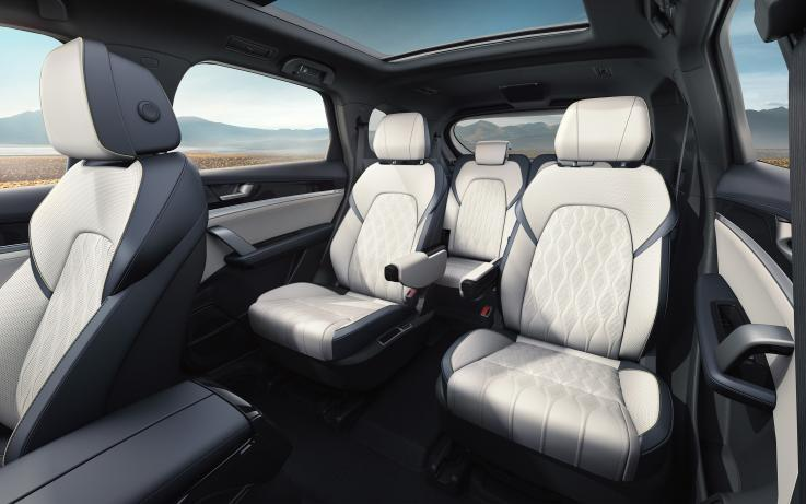 新能源汽車(chē),電動(dòng)汽車(chē),比亞迪