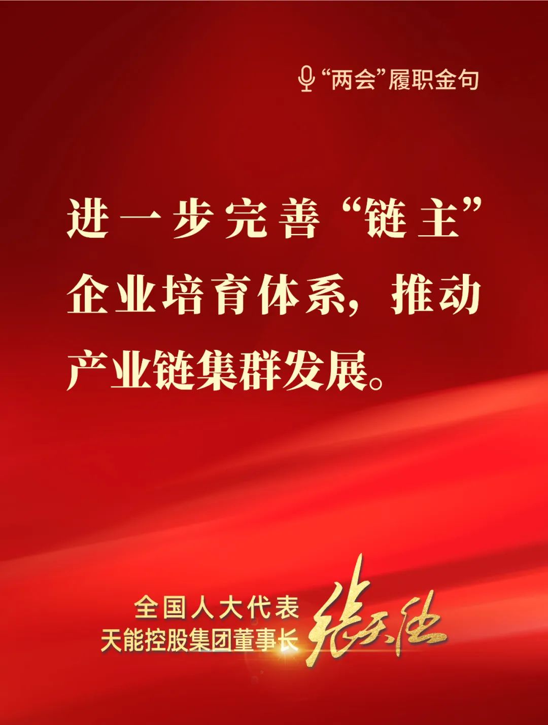 全國人大代表，天能控股集團董事長張天任