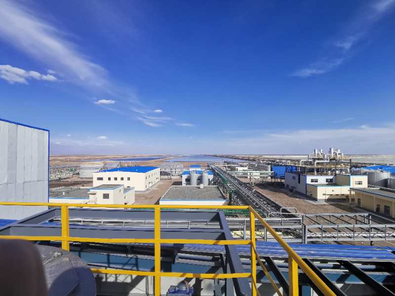 藏格礦業 藏格礦業