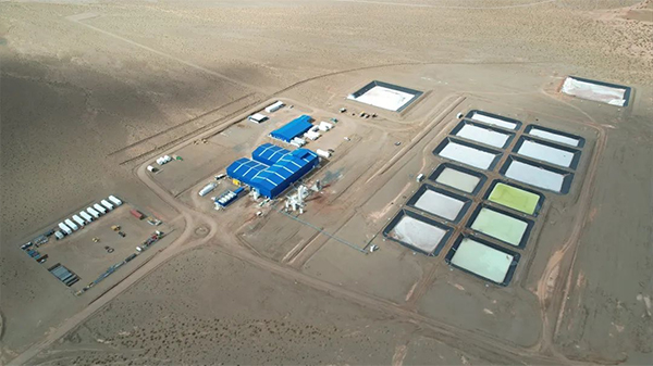 贛鋒鋰業 贛鋒鋰業